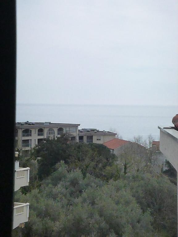 Apartman Ozi Petrovac Exterior photo